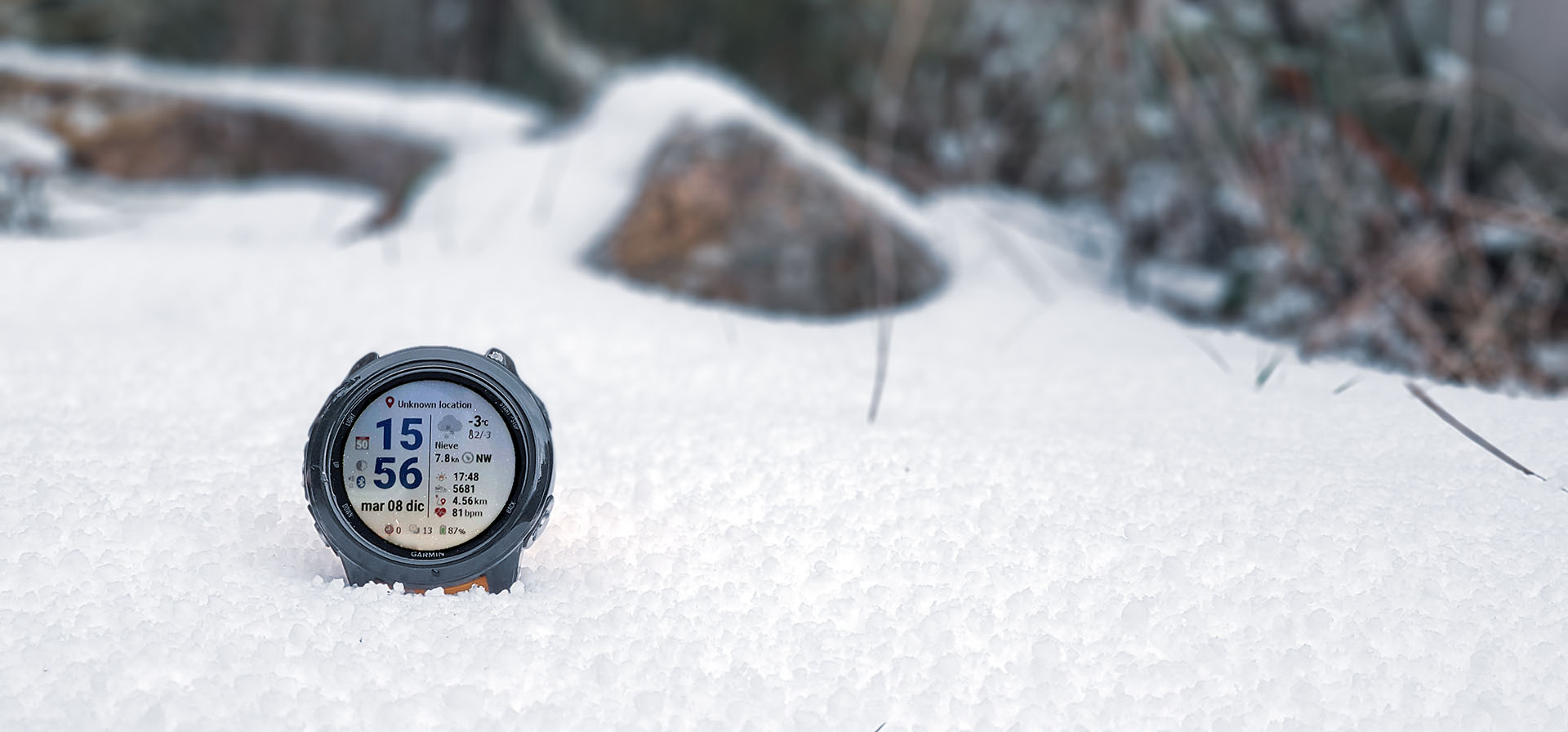 Neat Weather watchface in a nature field, in winter